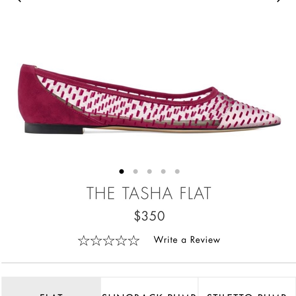 The Tasha Flat Stuart Weitzman Mesh Pointed